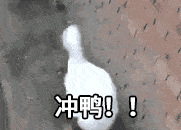 微信图片_20221027105756.gif 微信图片_20221027105756.gif